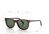 SINATRA SUNGLASSES