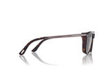 SINATRA SUNGLASSES