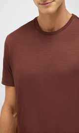 Brown Linate T-shirt in Techmerino Extra-Fine Merino Wool