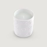 Silver Mountain Water Candle